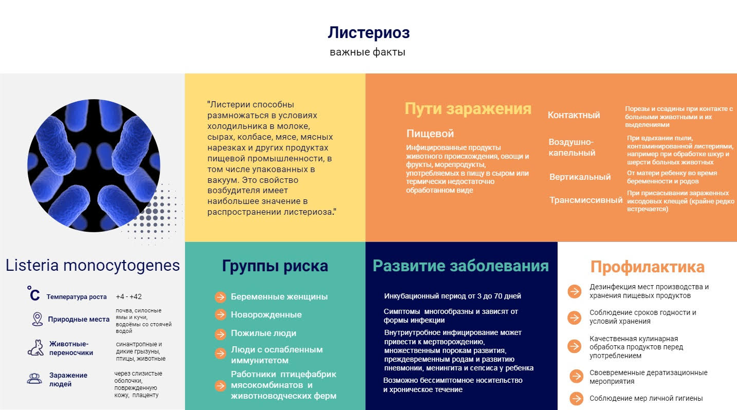 Листериоз - важные факты